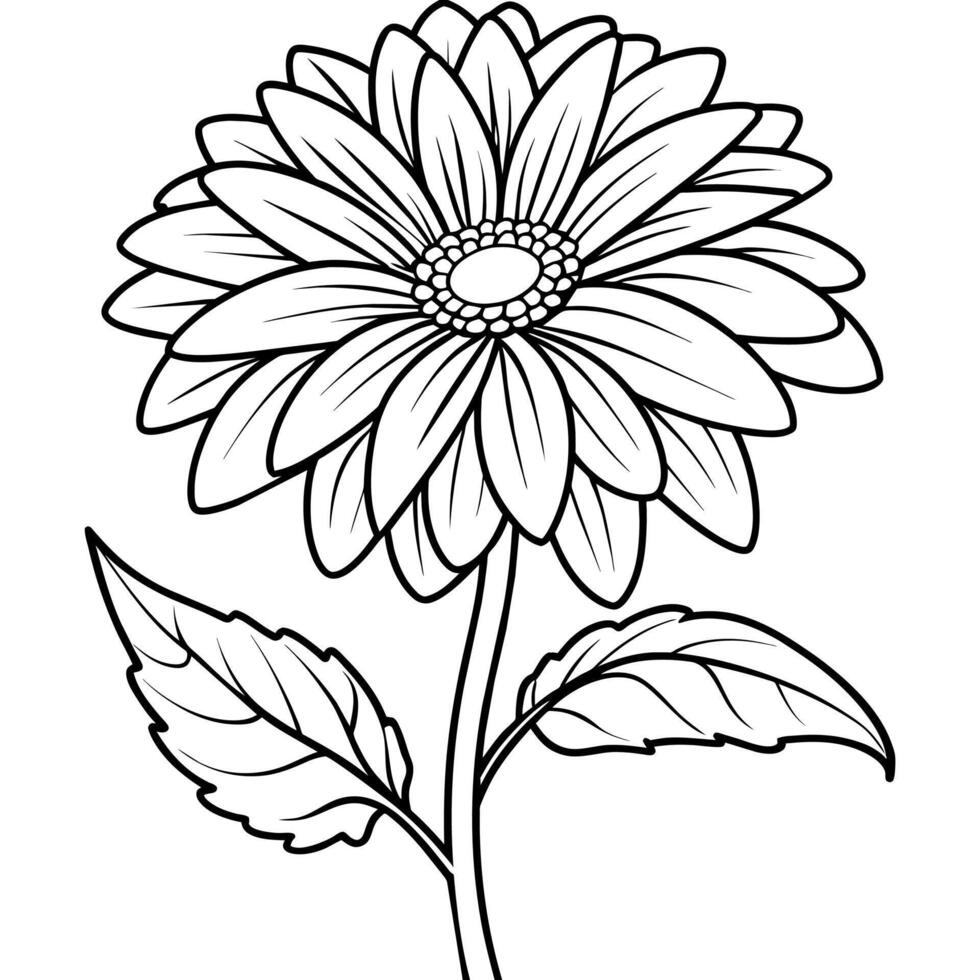 Gerbera flower plant outline illustration coloring book page design, Gerbera flower plant black and white line art drawing coloring book pages for children and adults vector