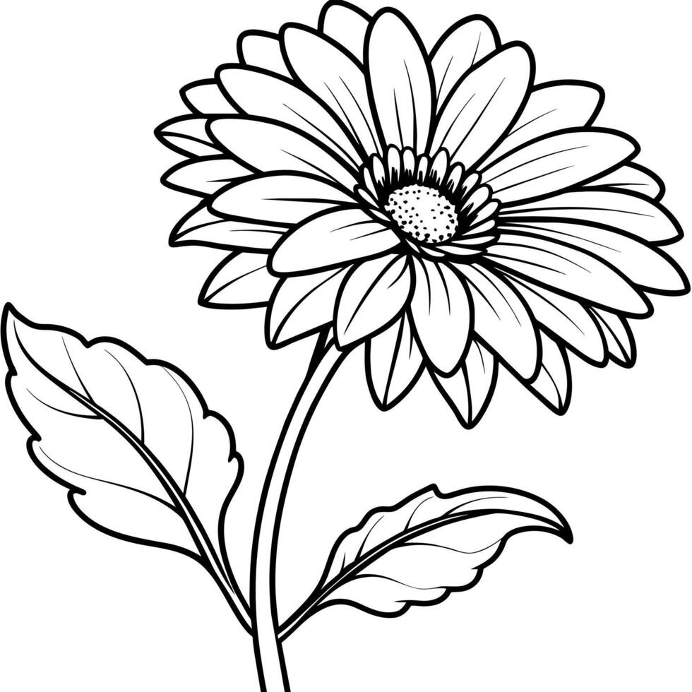 Gerbera flower plant outline illustration coloring book page design, Gerbera flower plant black and white line art drawing coloring book pages for children and adults vector