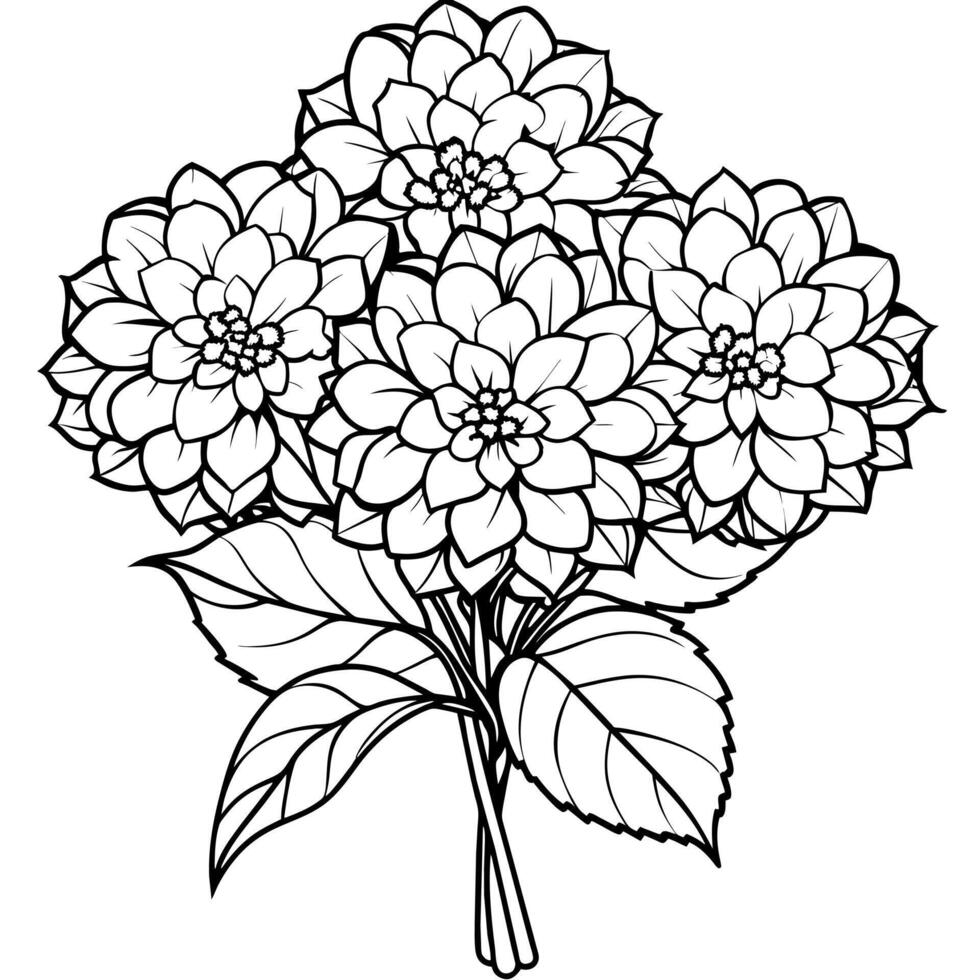 Hydrangea Flower Bouquet outline illustration coloring book page design, Hydrangea Flower Bouquet black and white line art drawing coloring book pages for children and adults vector