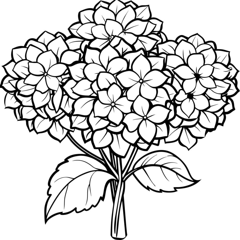 Hydrangea Flower Bouquet outline illustration coloring book page design, Hydrangea Flower Bouquet black and white line art drawing coloring book pages for children and adults vector