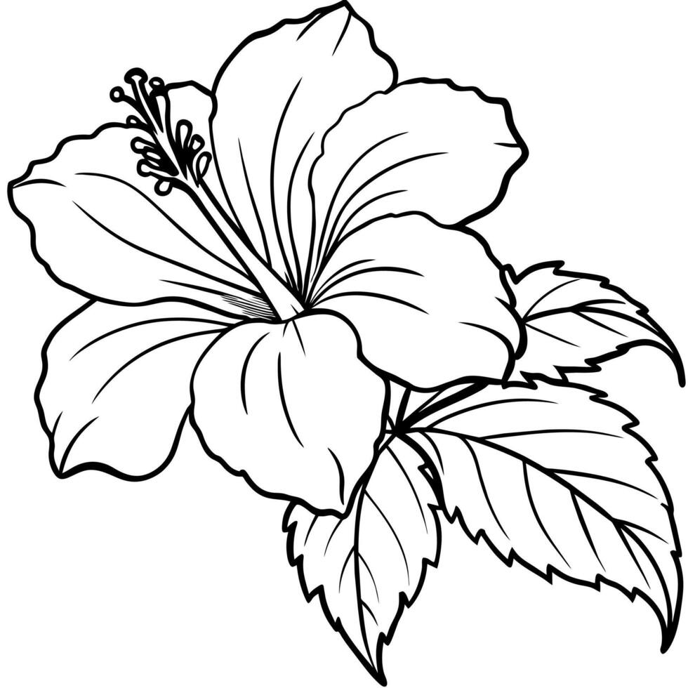 Hibiscus flower plant illustration coloring book page design, Hibiscus Hibiscus flower plant and white line art drawing coloring book pages for children and adults vector