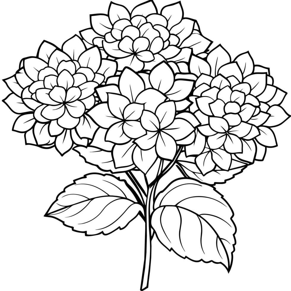 Hydrangea Flower Bouquet outline illustration coloring book page design, Hydrangea Flower Bouquet black and white line art drawing coloring book pages for children and adults vector