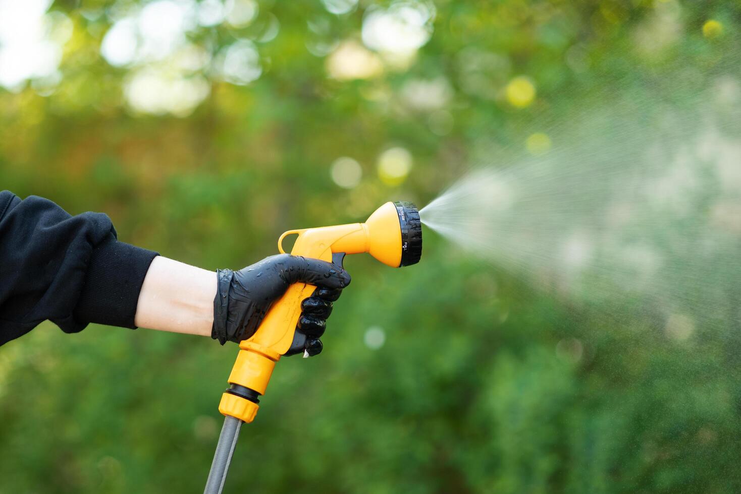 Working watering garden from hose. Hand with garden hose watering plants, close up, blurred background. Gardening concept photo