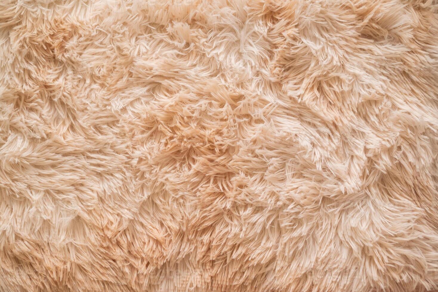 Background picture of a soft fur beige carpet. wool sheep fleece texture background. top view photo