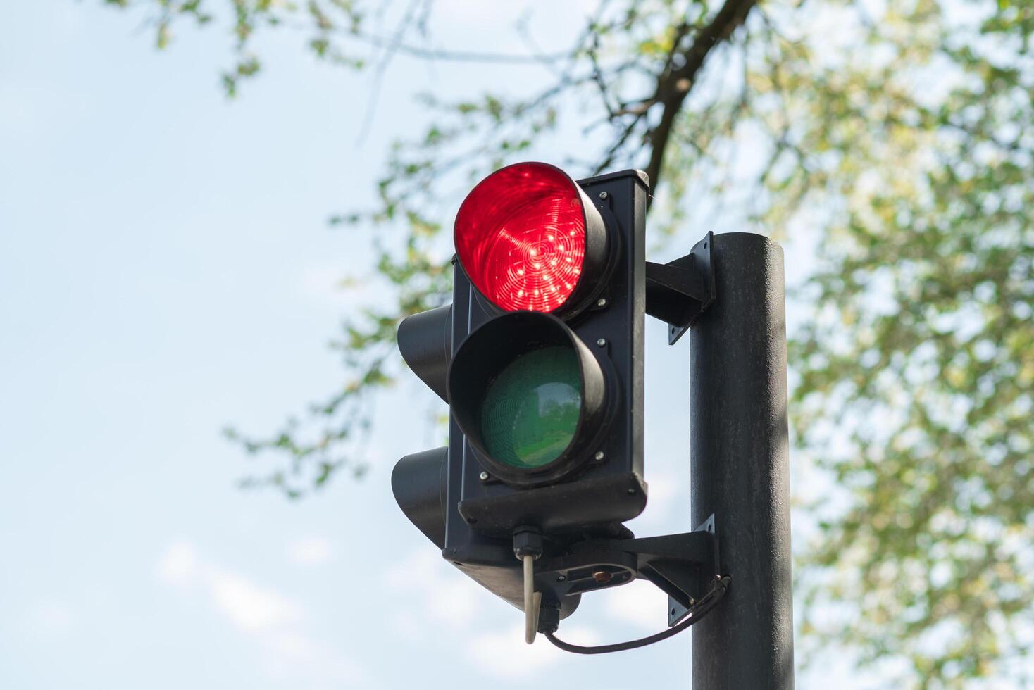 Close-up of red traffic light for cars with a blue sky in the background. photo