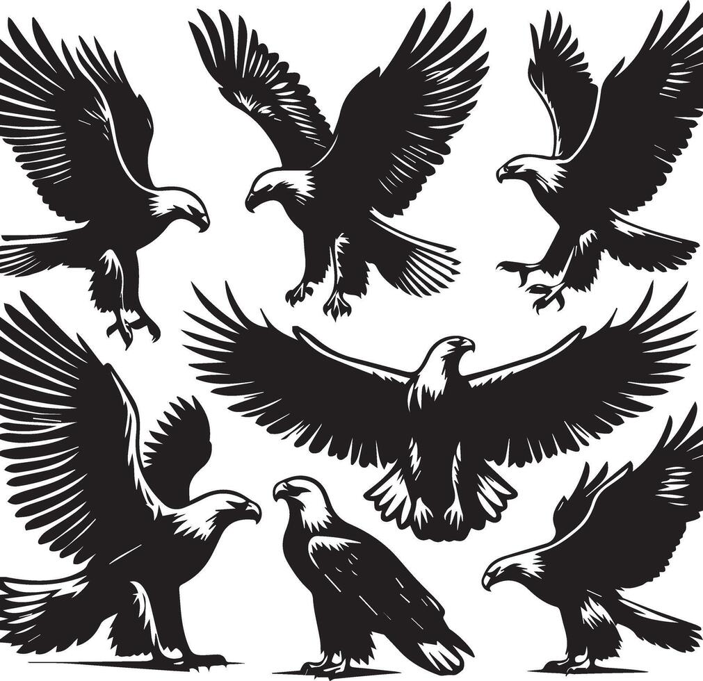 Eagle silhouette set. Eagle illustration vector