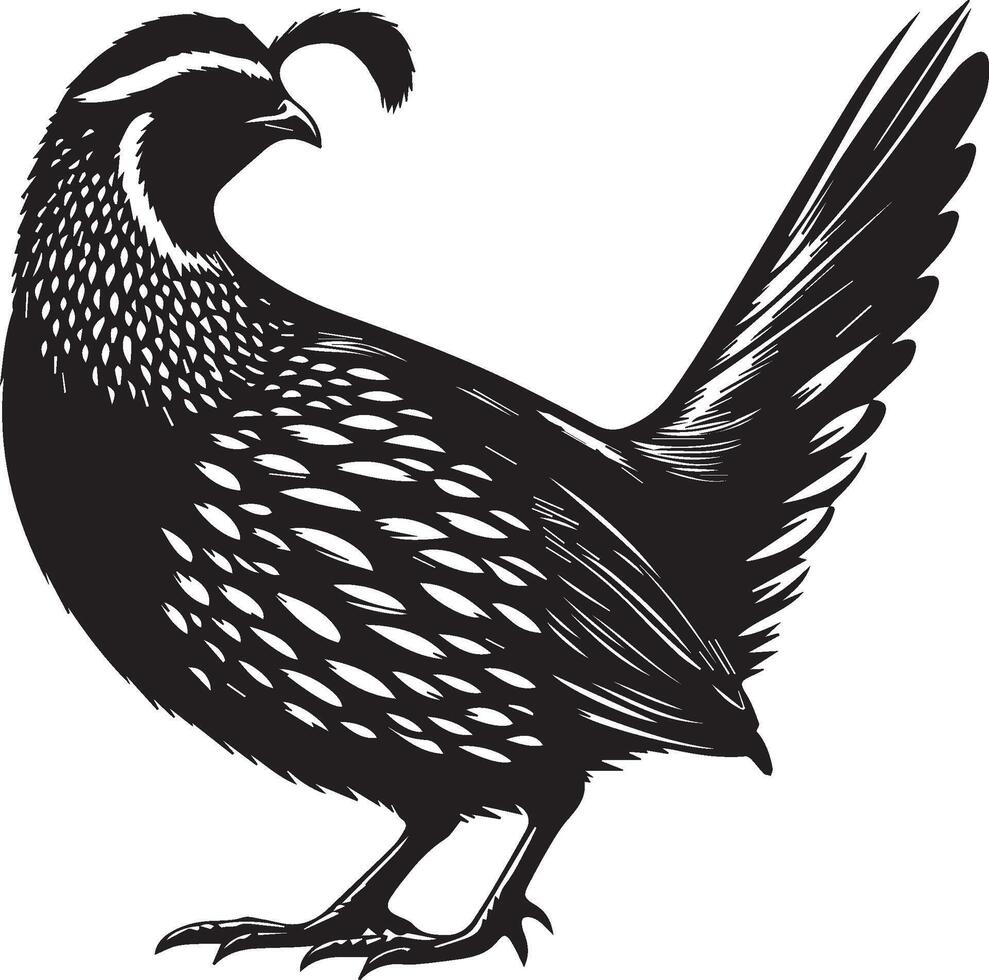 Quail silhouette design icon, Quail design isolated on white background. vector