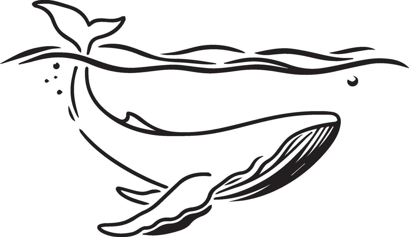 Whale silhouette isolated on white background vector