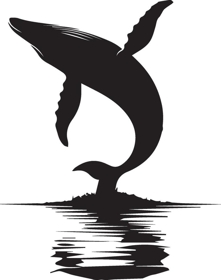 Whale silhouette isolated on white background vector