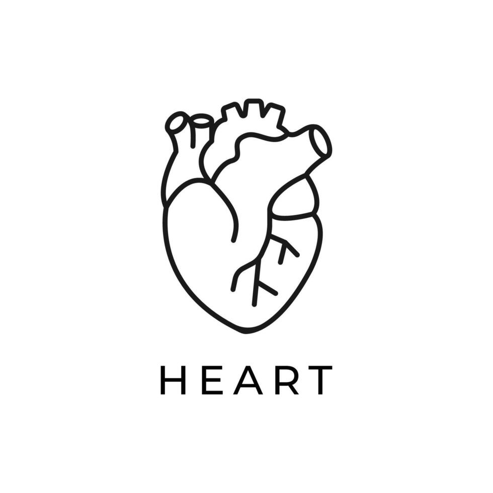 Heart flat line icon. thin pictogram of human internal organ, outline illustration for cardiology clinic. vector