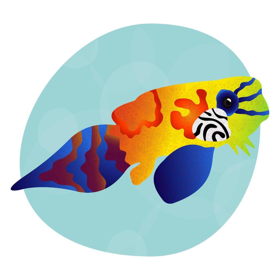 Unique and unusual bright tropical mandarinfish. Sea fish with colorful decoration. Cool print for clothes, cups, plates, goods. Sea world. Logo for seafood, fish restaurant, pet store. Element design vector