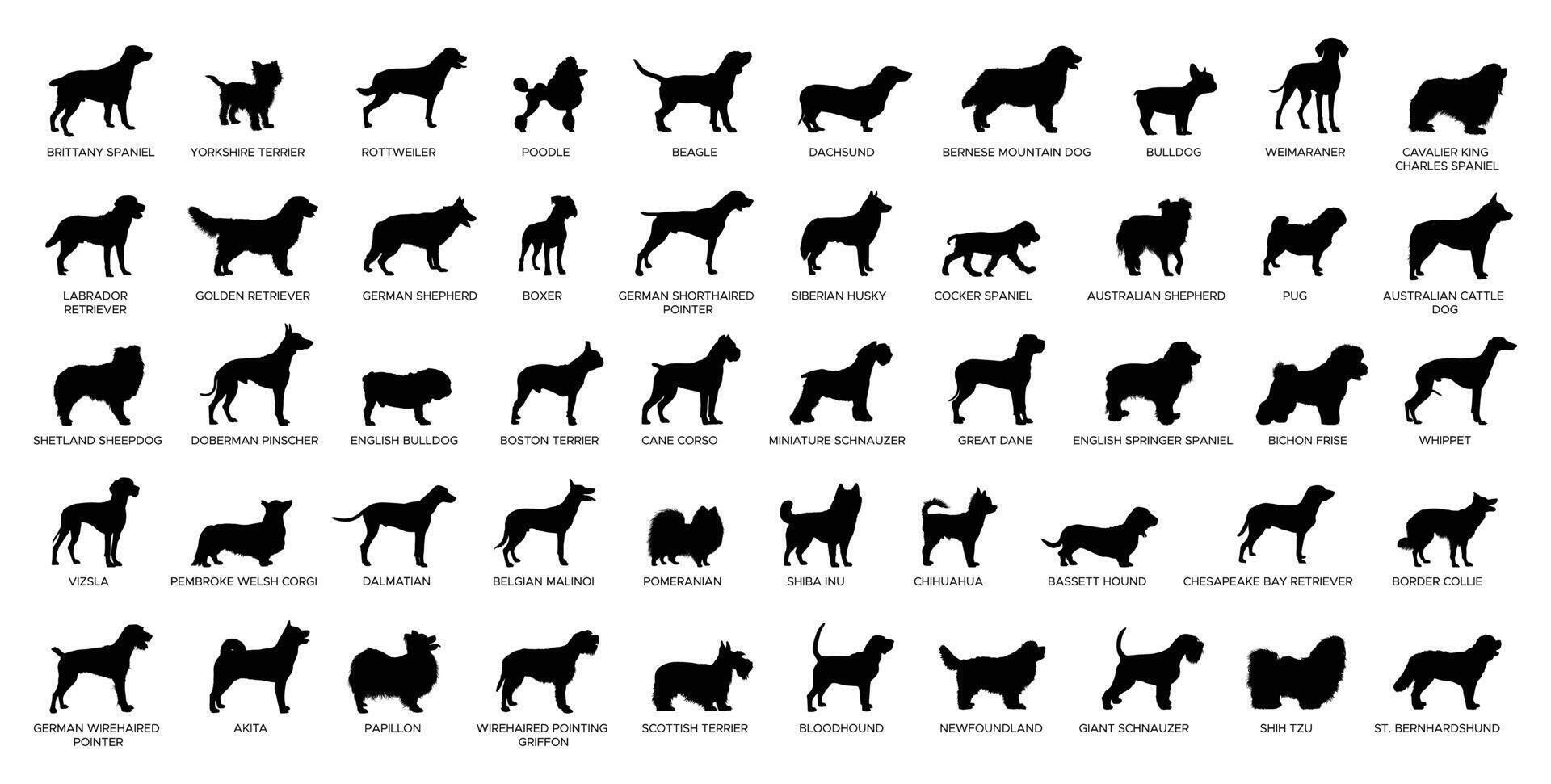 Dog Breeds Silhouette Set vector