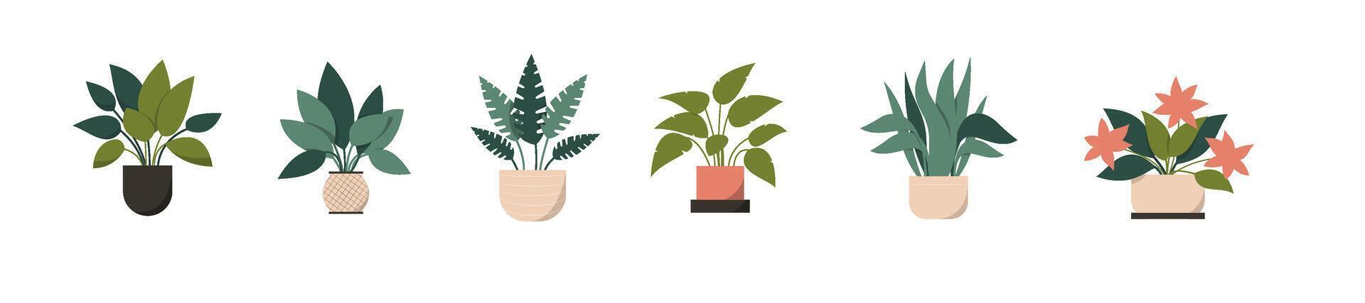 Collection set of houseplants in clay pots for indoor decoration, home, office hand drawn flat illustration vector