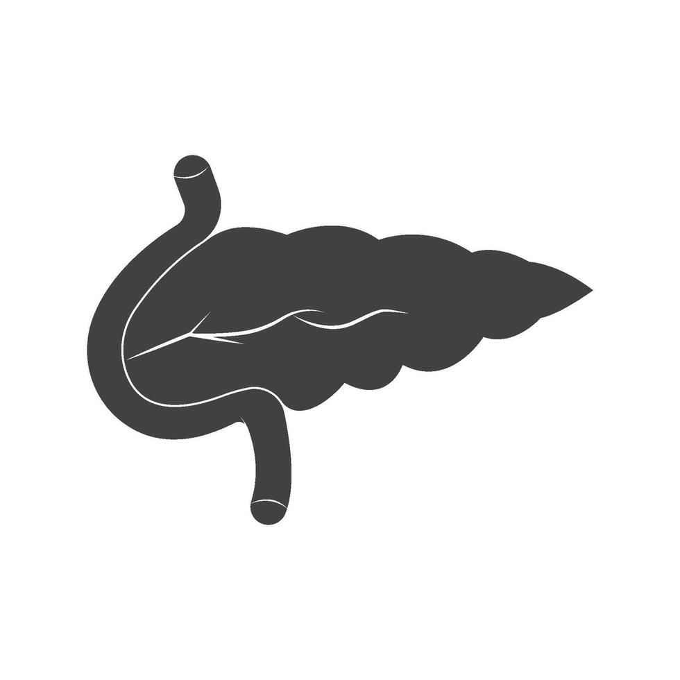Pancreas icon illustration vector