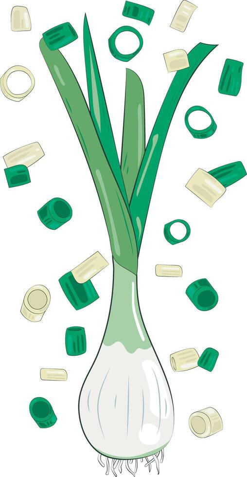 Chopped Green Onion Element Chives Slices Illustration Graphic Element Art Card vector