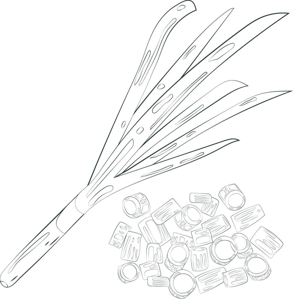 Sketch Chopped Onion Element Chives Slices Illustration Graphic Element Art Card vector