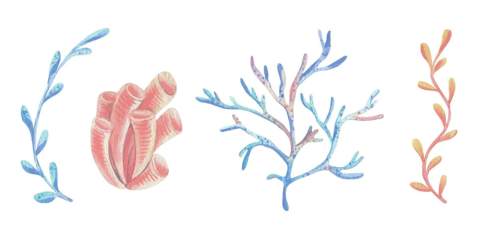 Corals, sponges, algae branches Watercolor illustration hand drawn with pastel colors turquoise, blue, mint, coral, peach. Set of elements isolated from background vector