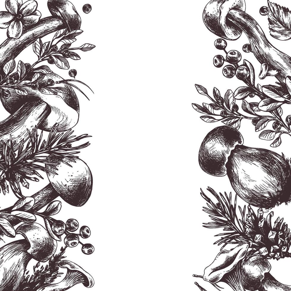 Edible forest mushrooms, boletus, chanterelles, with blueberries and lingonberries, leaves, fir and cones. Graphic illustration, hand drawn with brown ink, line art. Square frame, template for text. vector