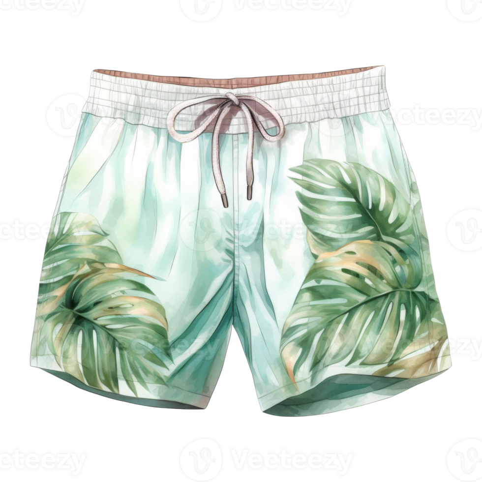 Beach Pants Isolated Detailed Watercolor Hand Drawn Painting Illustration png