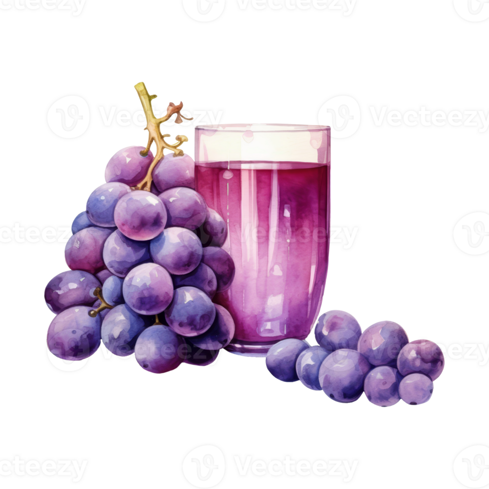 grape juice Isolated Detailed Watercolor Hand Drawn Painting Illustration png