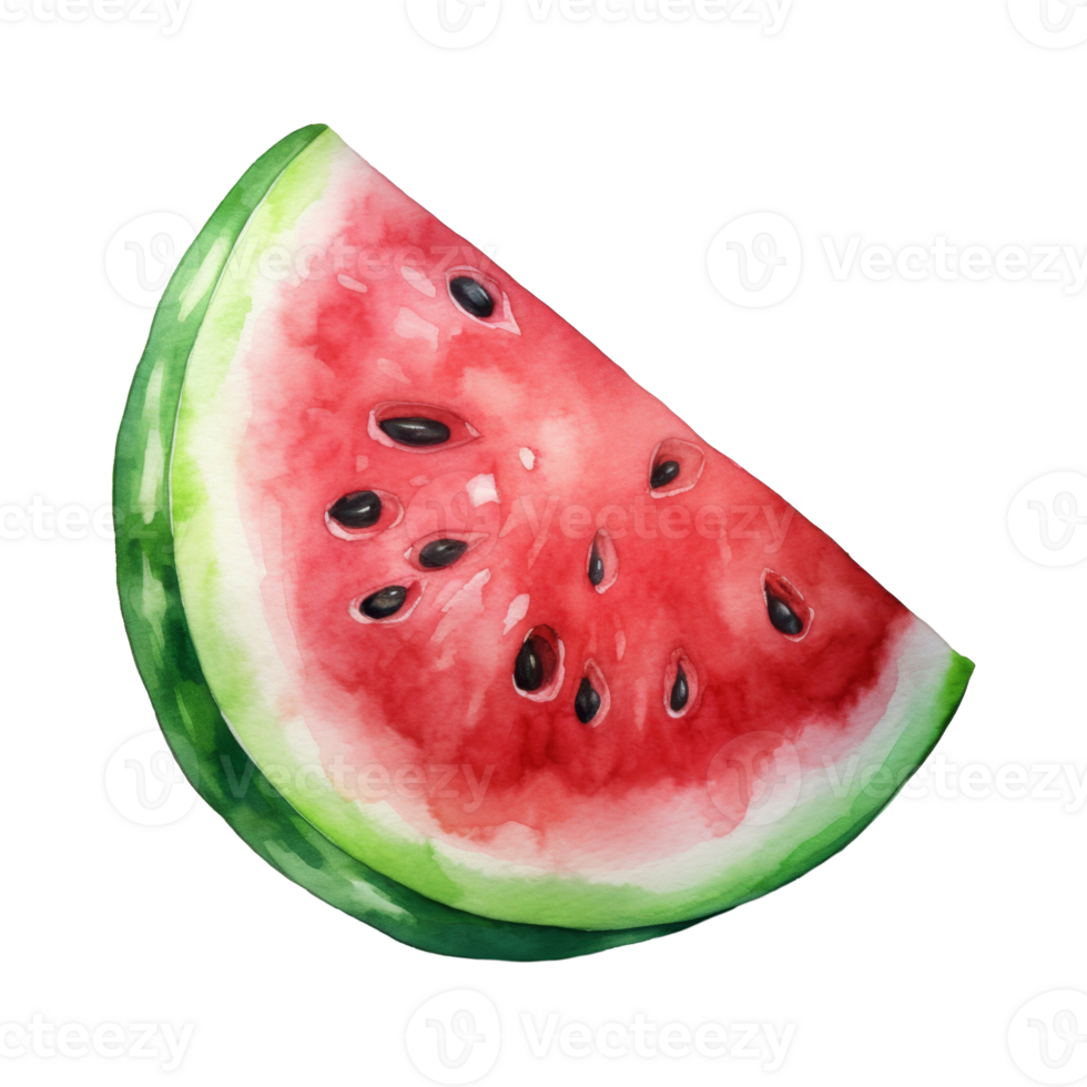 watermelon Isolated Detailed Watercolor Hand Drawn Painting Illustration png