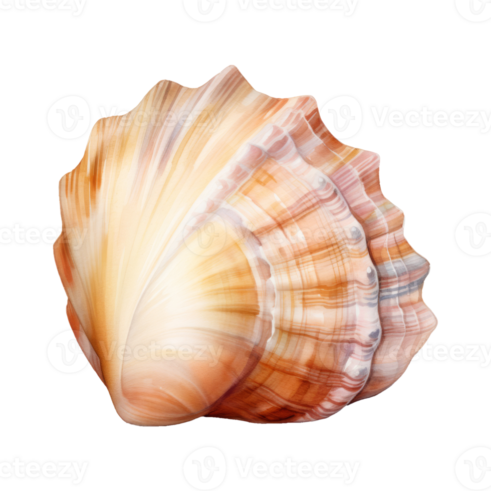hermit shell Isolated Detailed Watercolor Hand Drawn Painting Illustration png