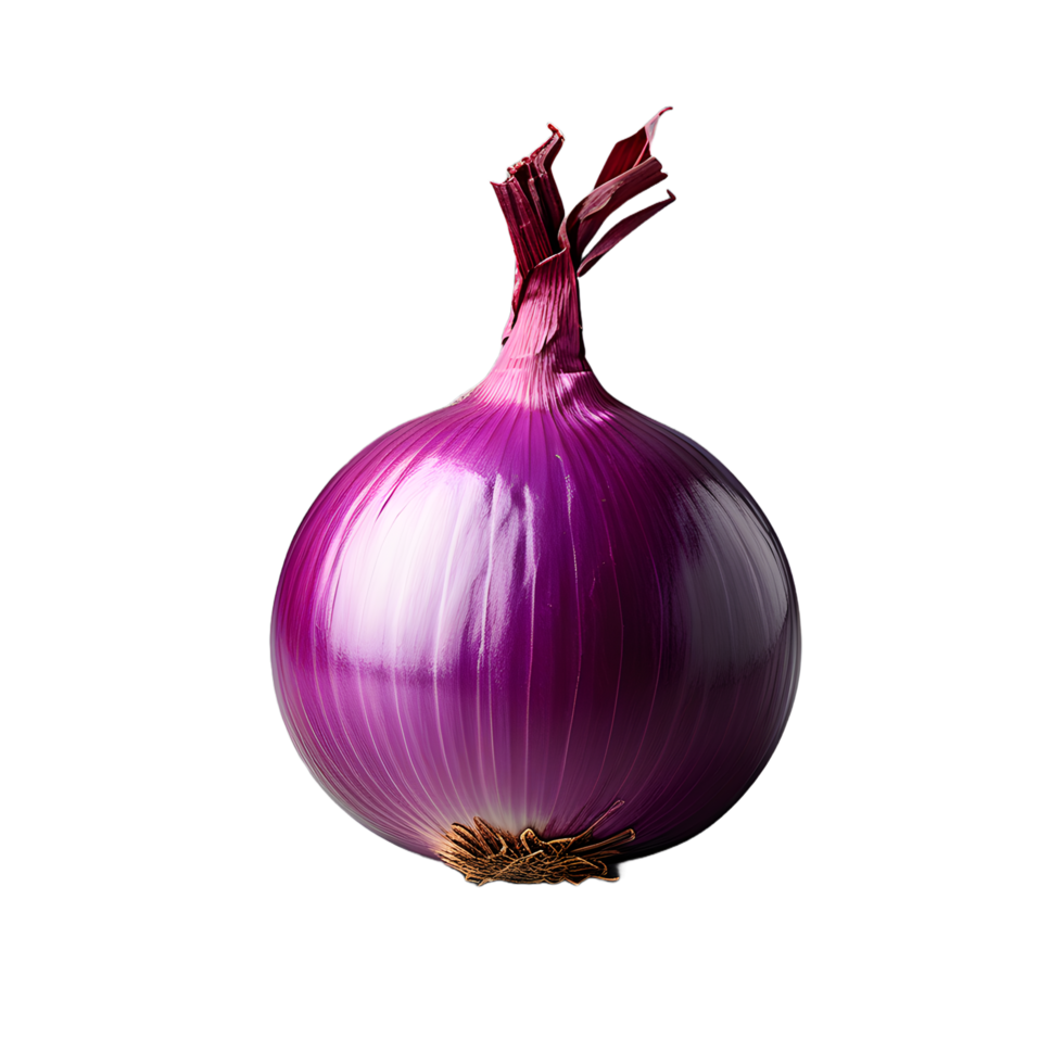 onion vegetable isolated on white transparent background png