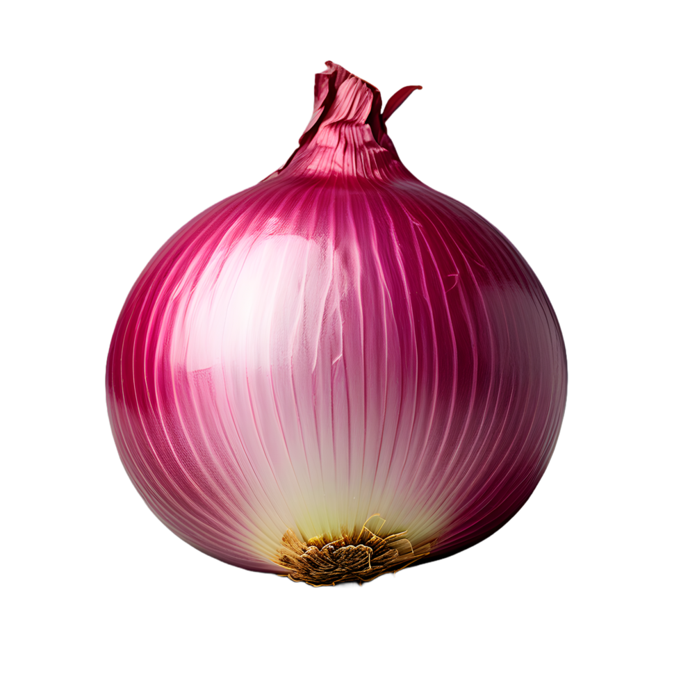 onion vegetable isolated on white transparent background png
