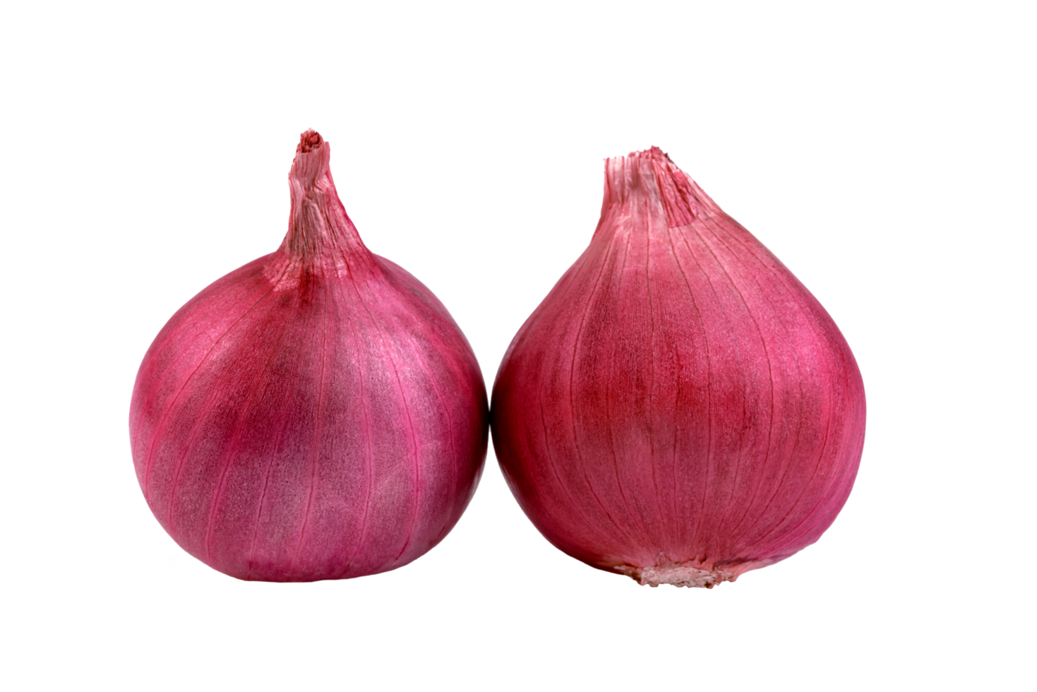 shallots onion chopped isolated png