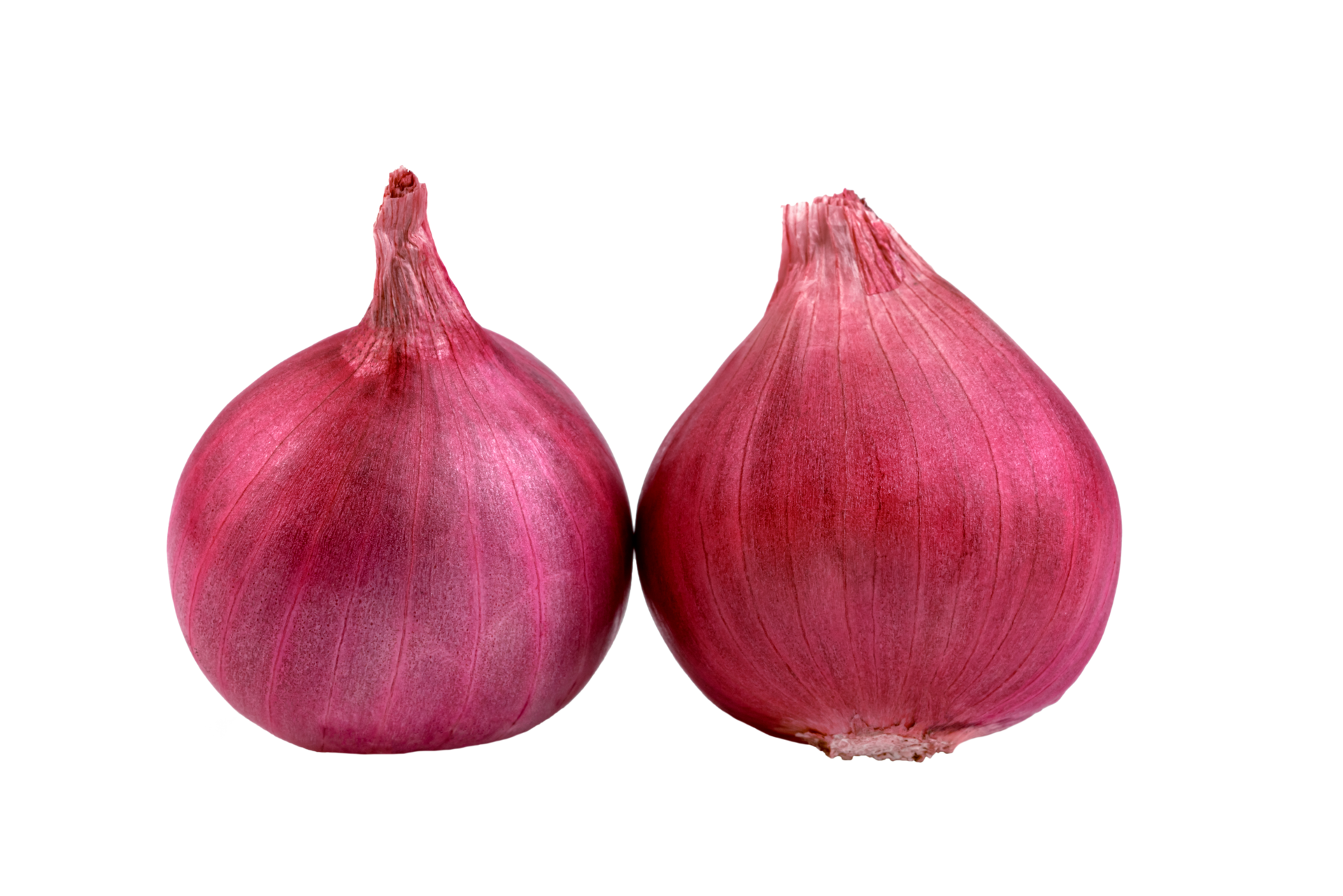 shallots onion chopped isolated 44267676 PNG