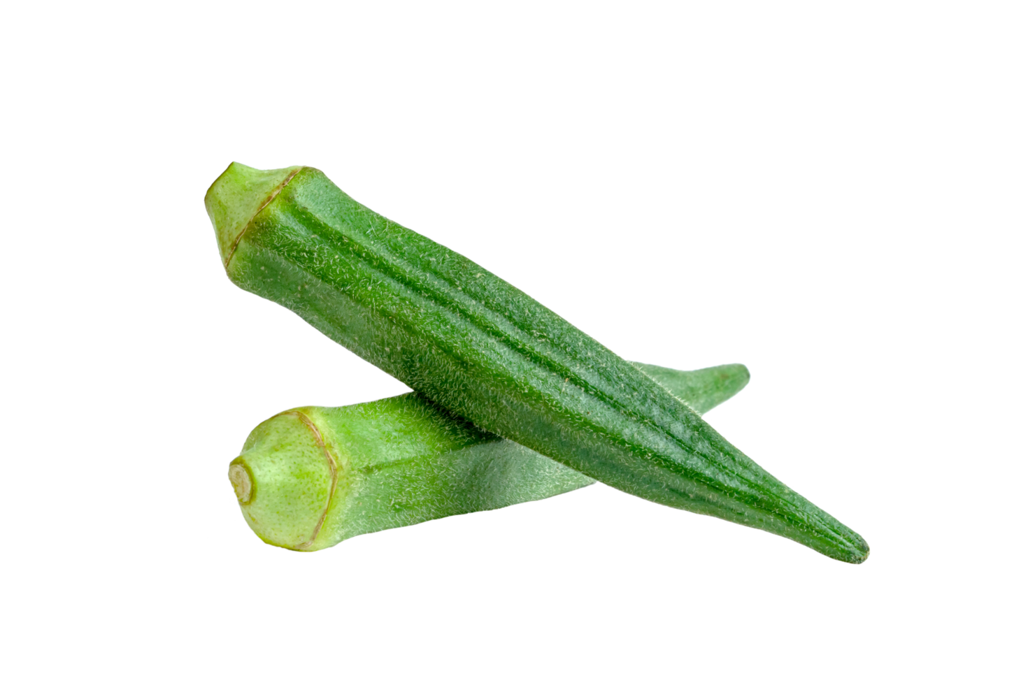 raw okra isolated png