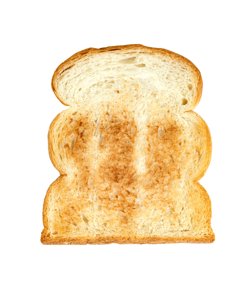 Toasted slice bread isolated png