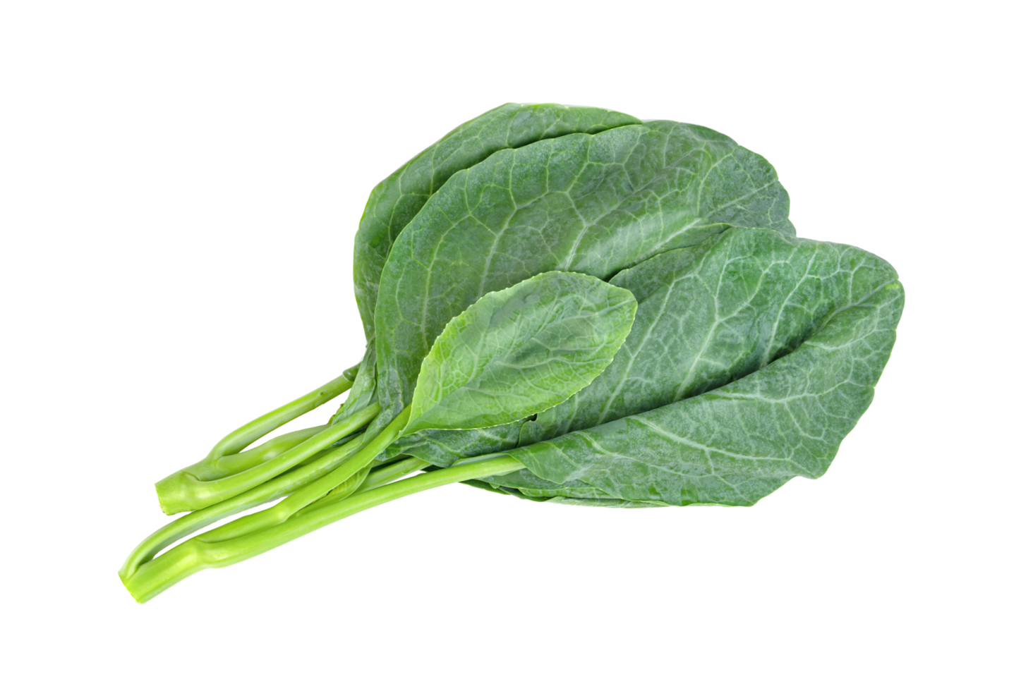 Chinese kale isolated. Green leaves of collards pattern png