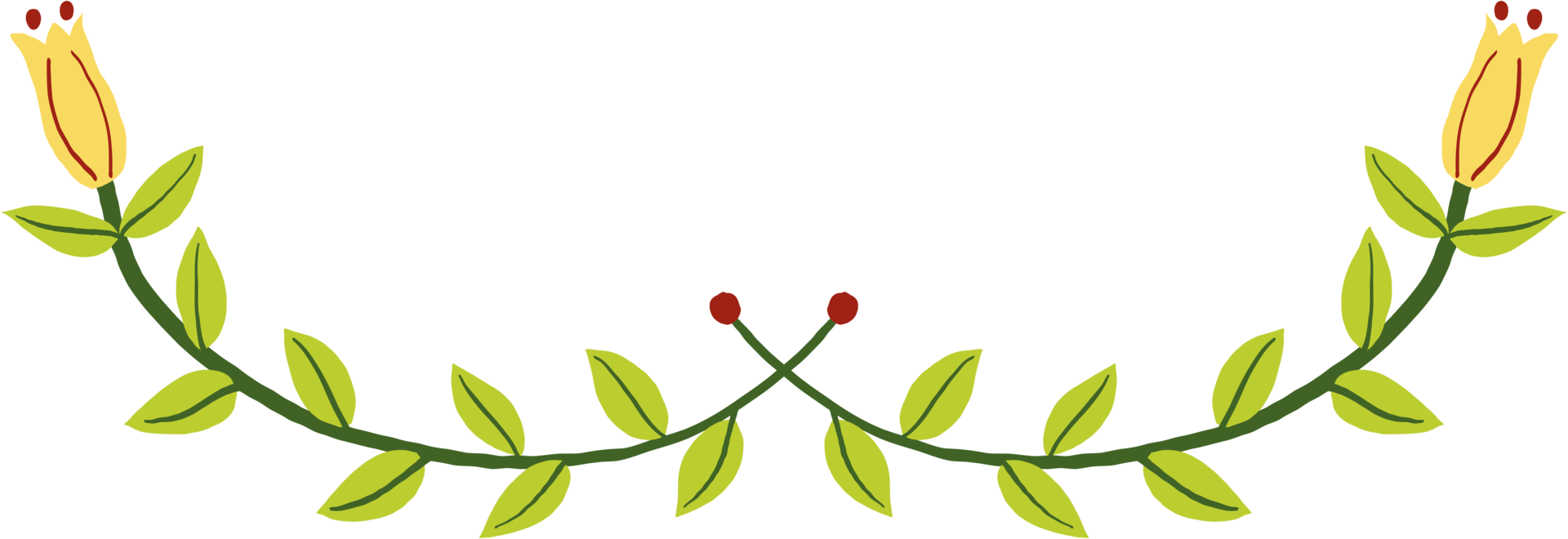 Floral and flower frame divider illustration. png