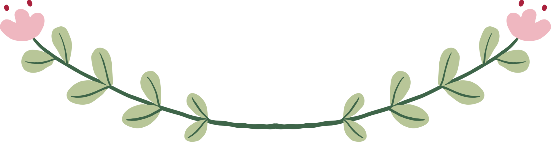 Floral and flower frame divider illustration. png
