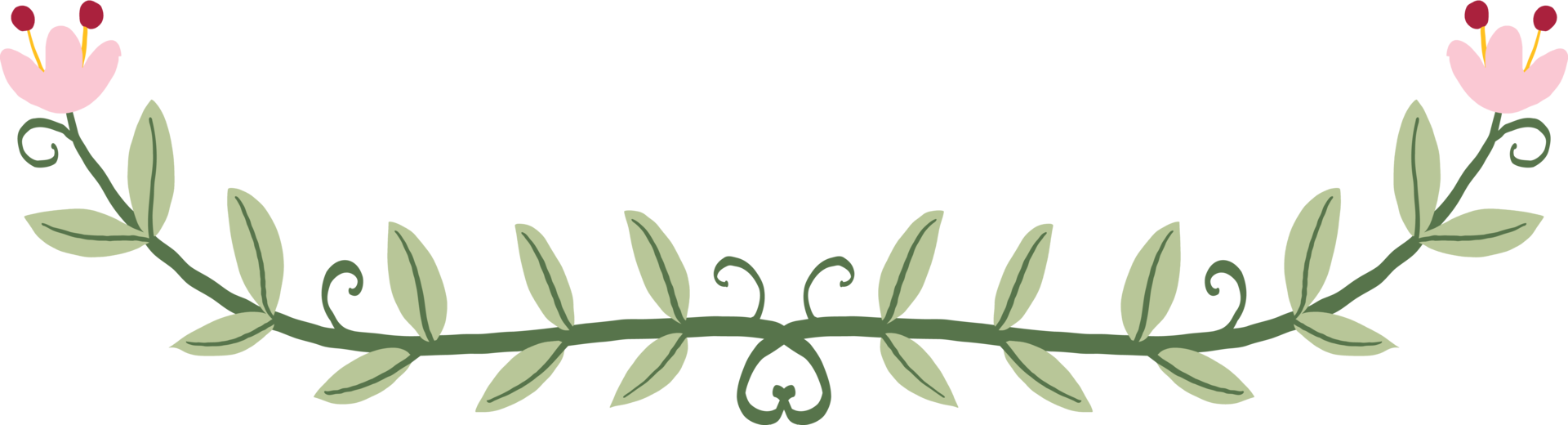Floral and flower frame divider illustration. png
