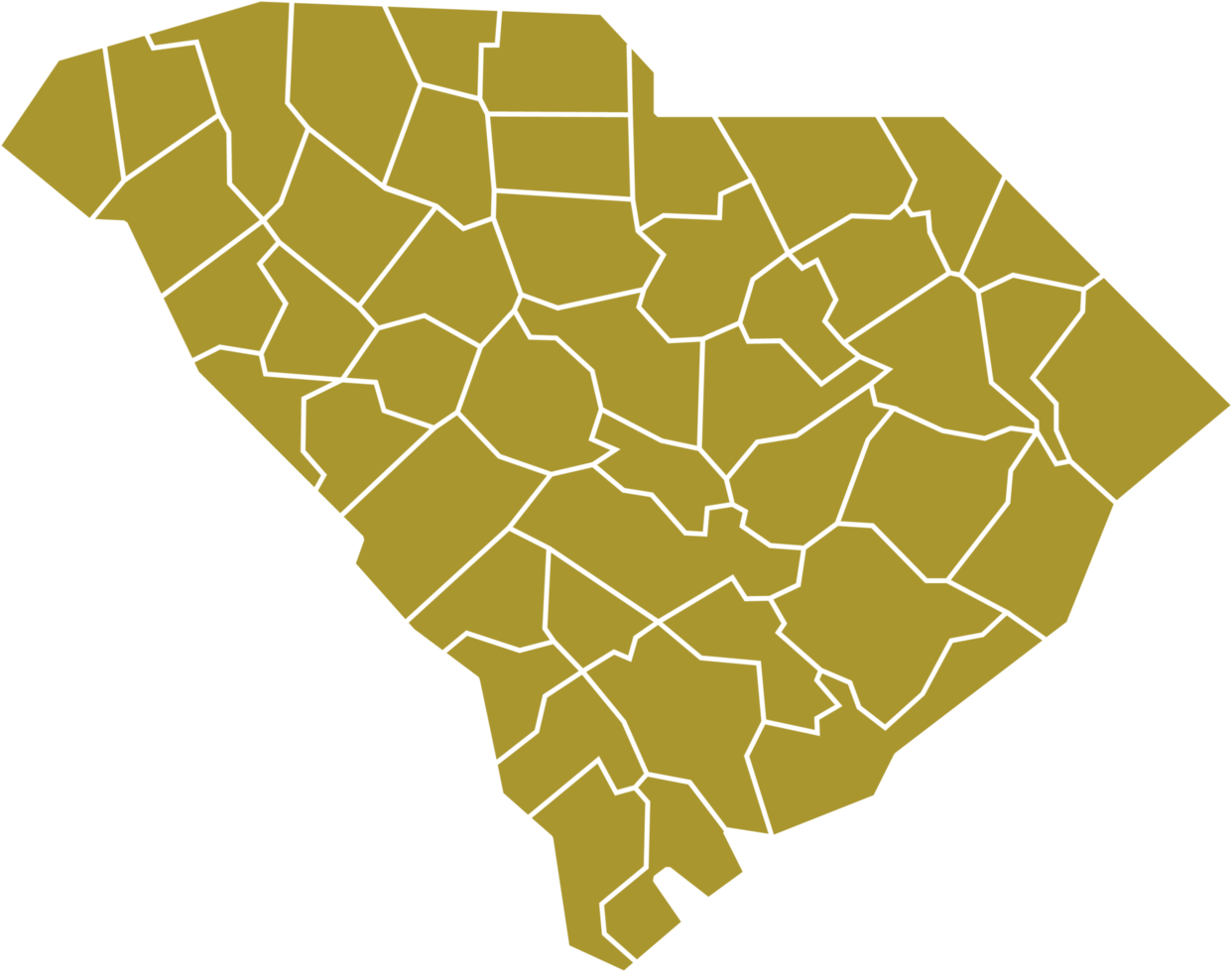 outline drawing of south carolina state map. png