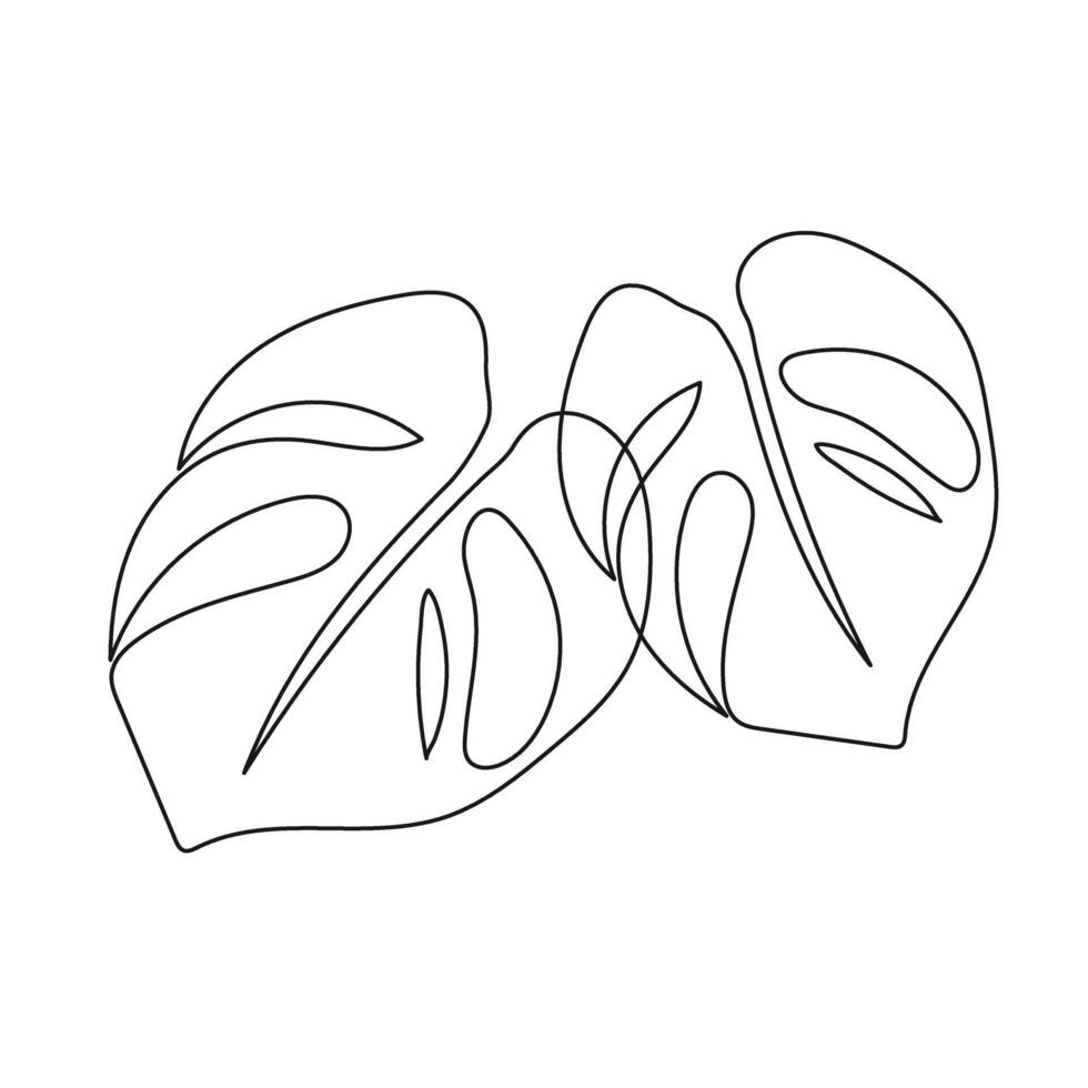One line drawing monstera leaf. Modern single line art, aesthetic contour. illustration vector