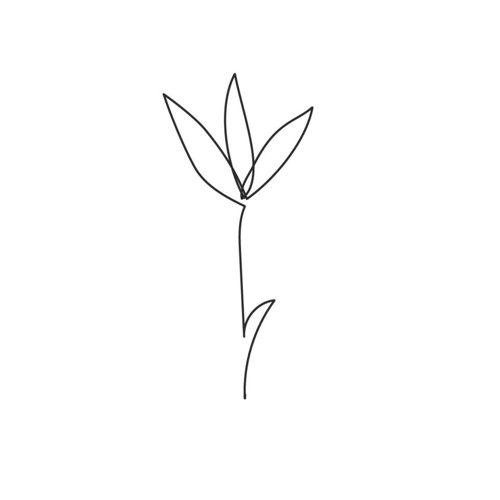 Hand drawn flower. ink floral doodles, sketch leaves decoration. Modern outline illustration on isolated background vector
