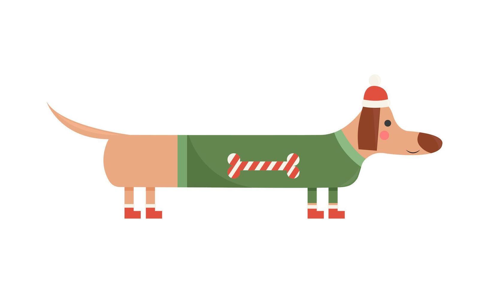 Cute and funny long dachshund wearing christmas sweater, hat and shoes. flat illustration isolated on white background. Ready for greeting cards, print vector