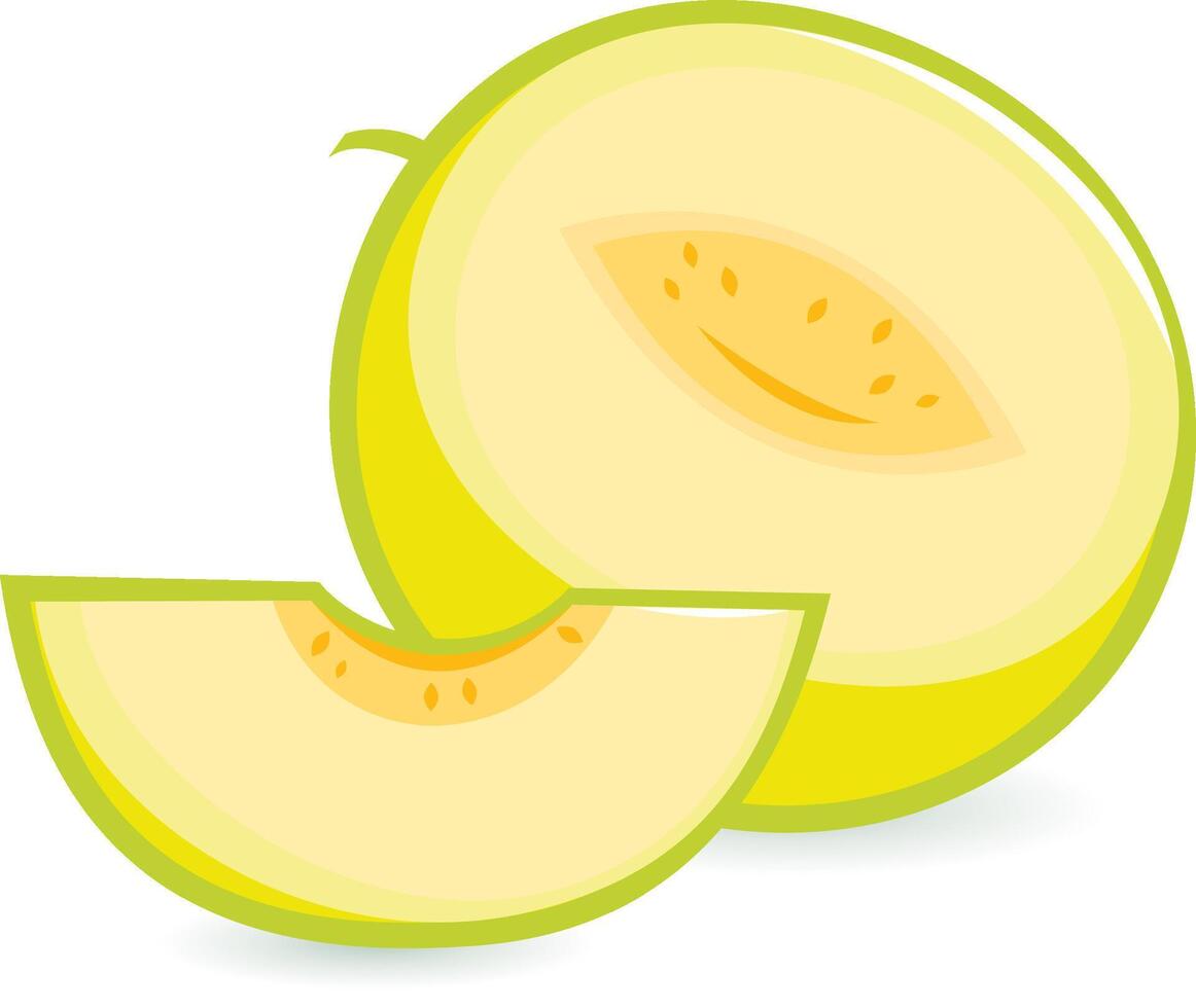 Melon fruit on white background. A whole and a sliced melon fruit. vector