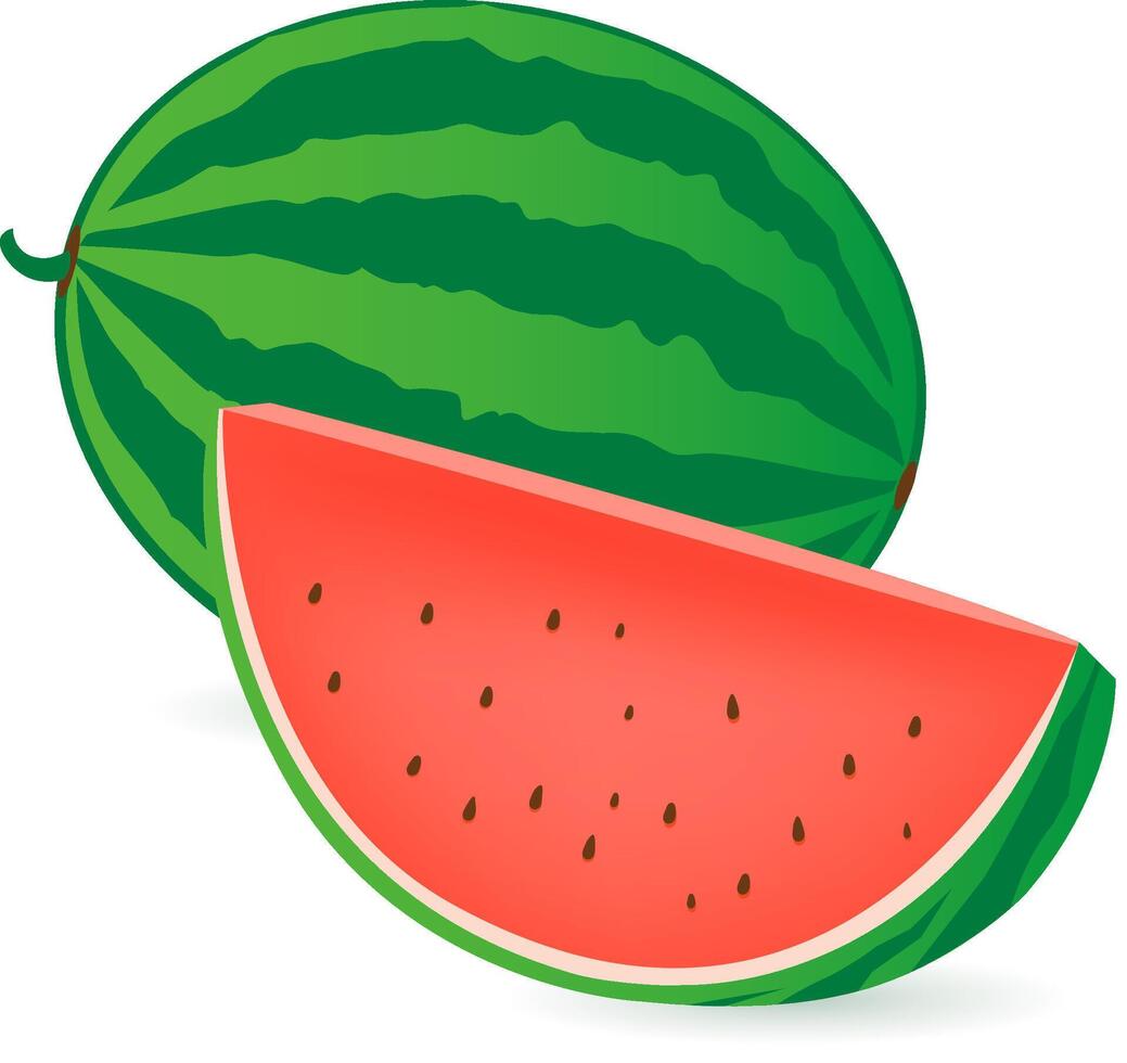 Watermelon fruit. A whole and a sliced watermelon fruit on white background. vector