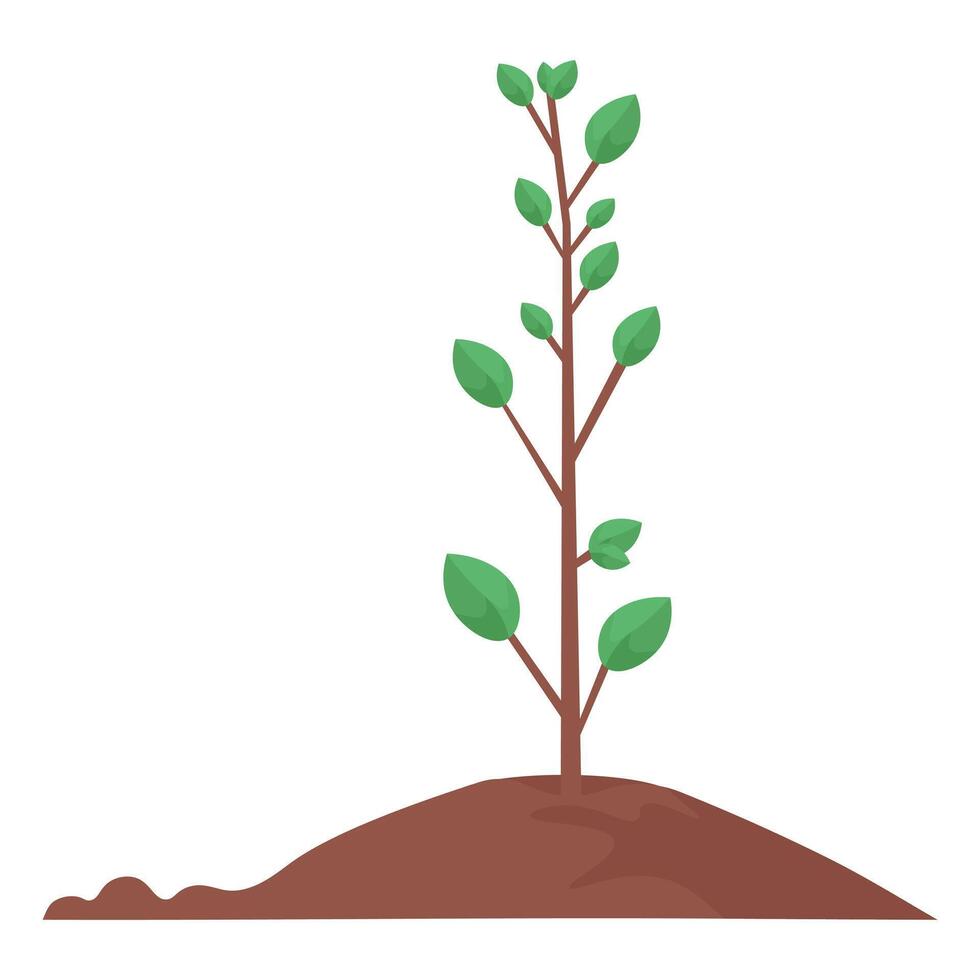 Tree seedling. Flat illustration vector