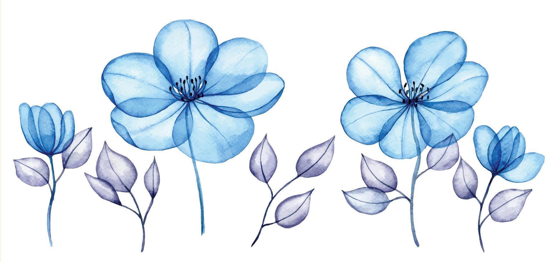 acuarela conjunto de transparente flores y hojas. transparente azul flores en pastel colores. elementos aislado en blanco antecedentes. diseño para Boda vector