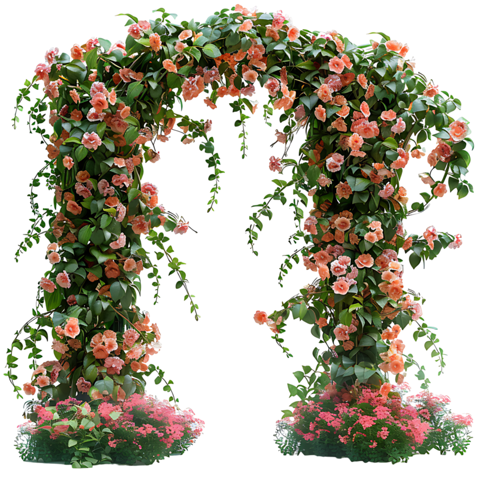 Garden flower arch on isolated transparent background png