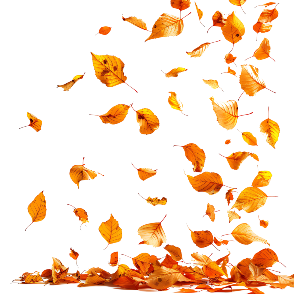 Autumn leaves flying on isolated transparent background png