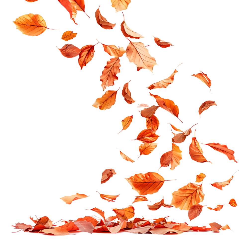 Autumn leaves flying on isolated transparent background png