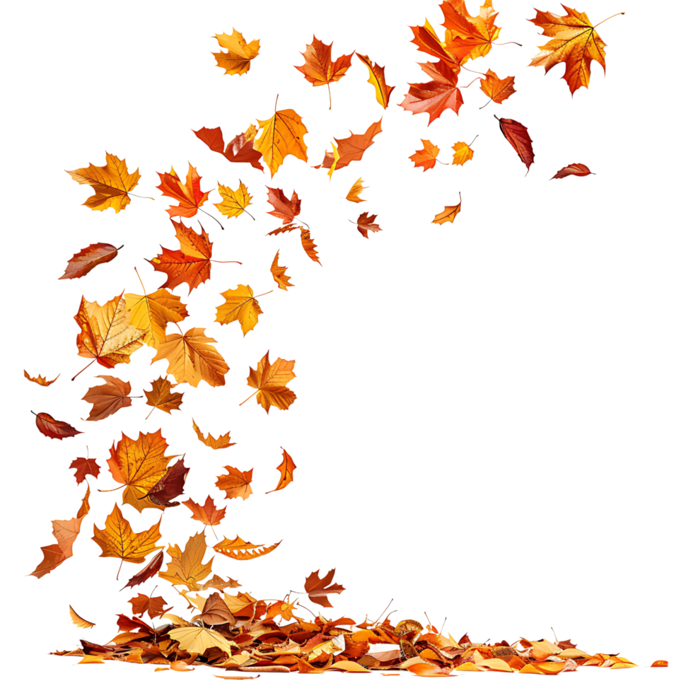 Autumn leaves flying on isolated transparent background png