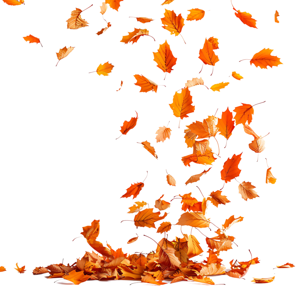 Autumn leaves flying on isolated transparent background png