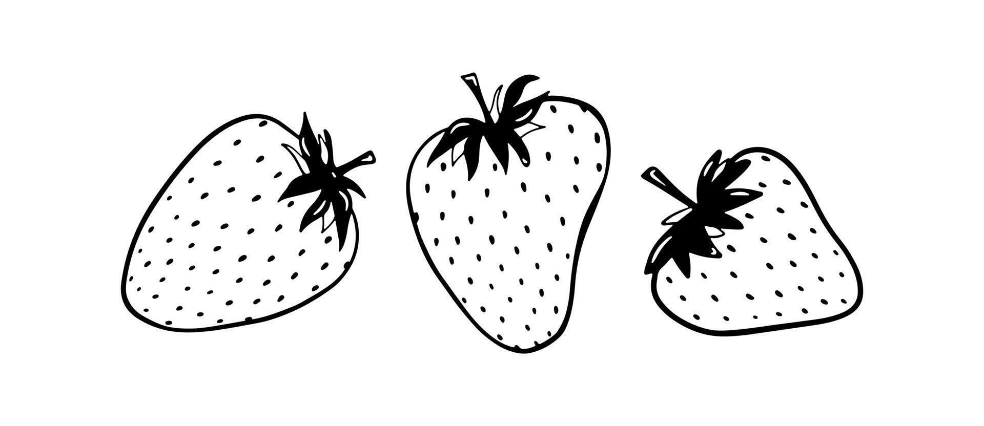 Doodle strawberry illustration. Black hand drawn abstract fruit. Summer sketch berry drawing. Three single elements vector